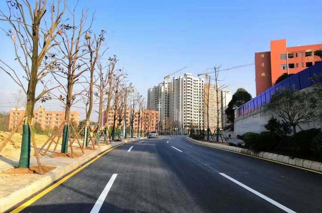 贵州双龙项目兴业北路（二期）道路顺利通过交工验收