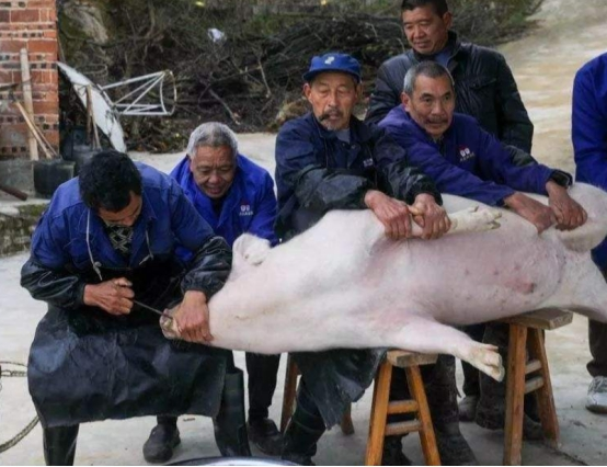 杀猪匠为何短命?恐怕是饮食问题,封建迷信传闻不可信