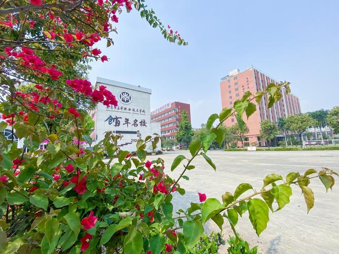 东莞市南华职业技术学校是国办还是民办2023年