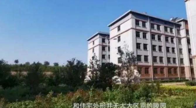 起底天津骨灰楼:小区16栋楼入住十万骨灰盒,地下室最贵