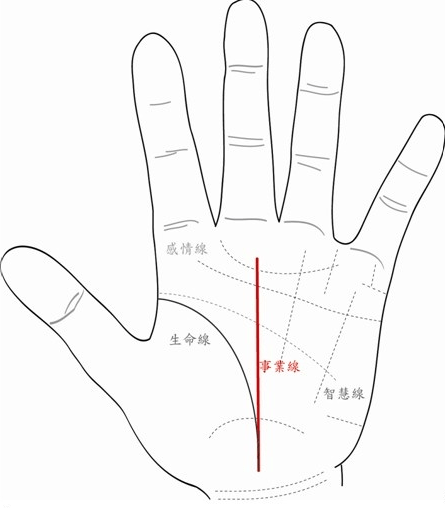 男人左手手掌纹路图解图片