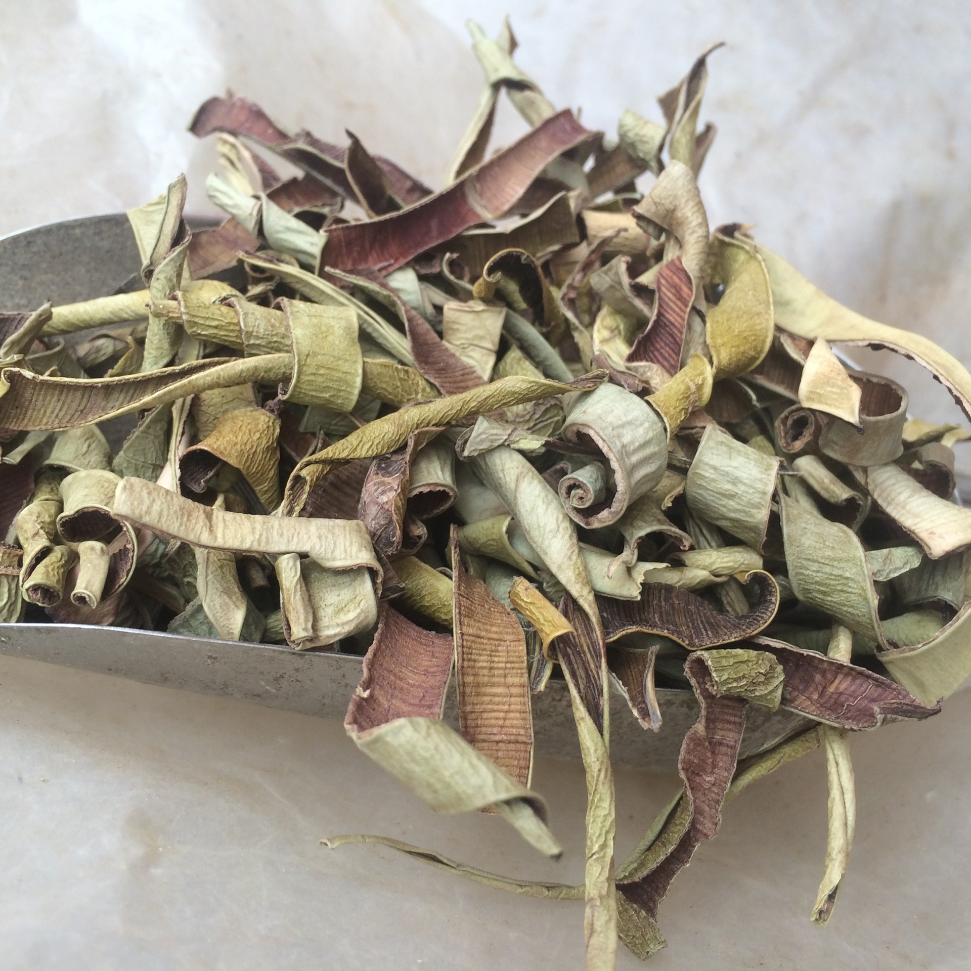 芦荟的由来,它还有哪些价值?