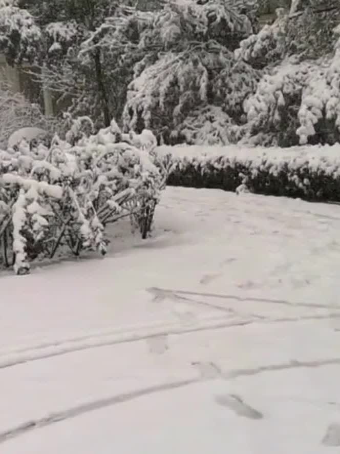 黑龙江多地大雪!伊春交警全力守护道路交通安全有序-度小视