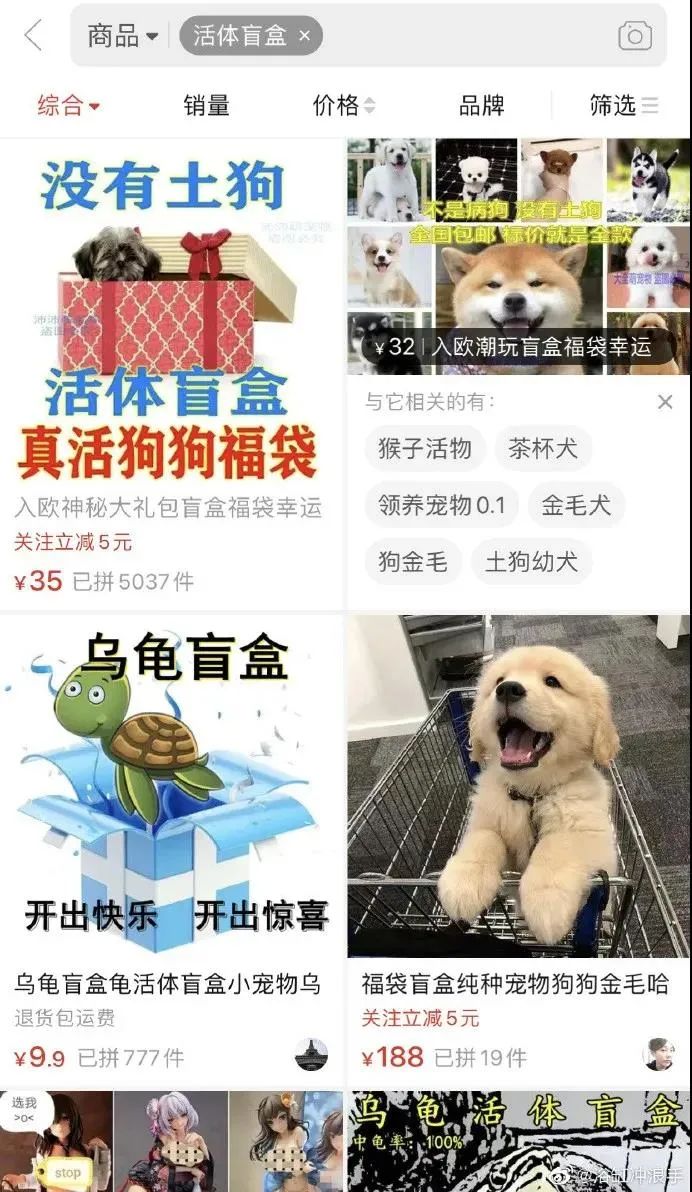 鲜血淋漓的"活体"盲盒,打开是惊喜还是惊吓?