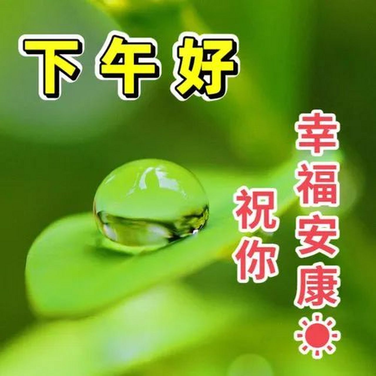 下午好!  简单快乐