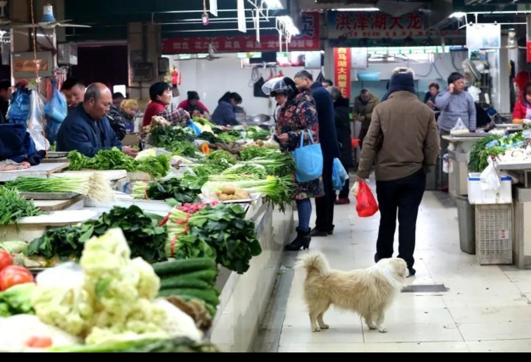 纪实:科级干部郝鹏俊:敛财三亿,北京海南38套房,惊动中央