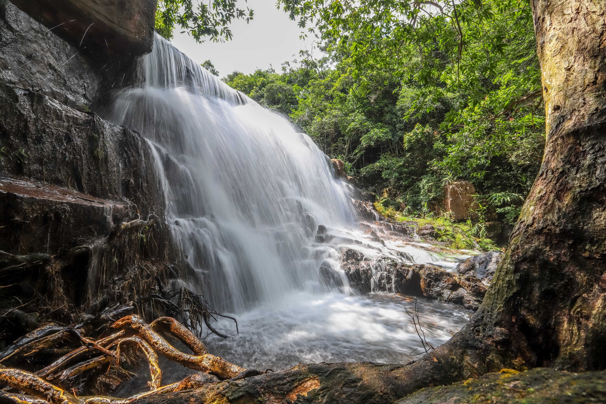 广西钦州八寨沟,"森林氧吧"里亲子嬉水,太适合度假了