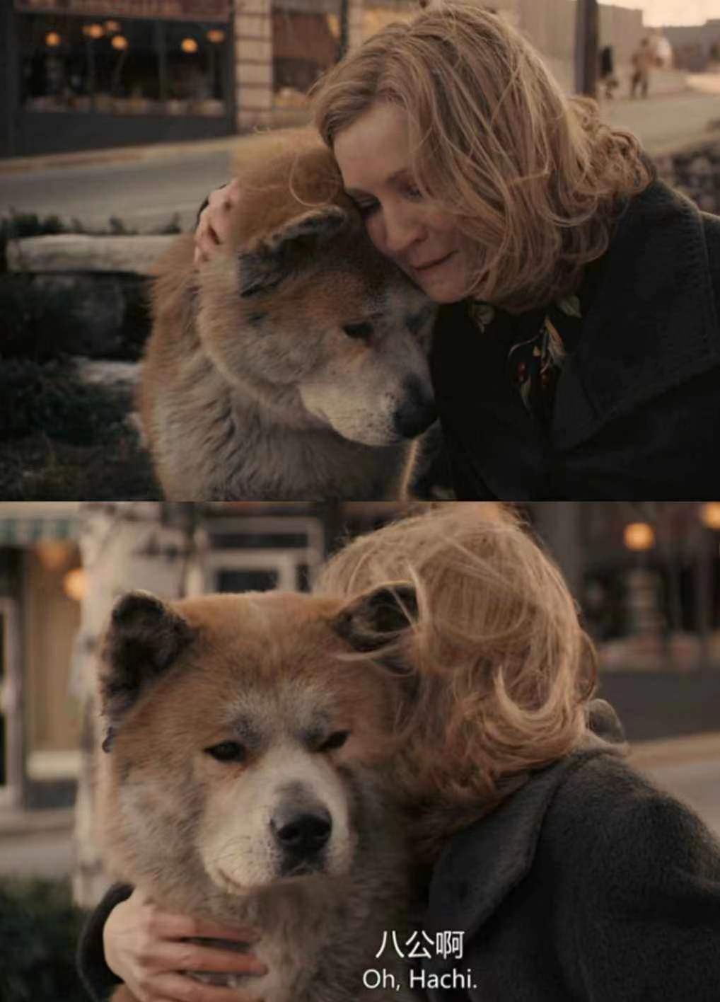 《忠犬八公》它只是你的一条狗,但你却是它的一生!
