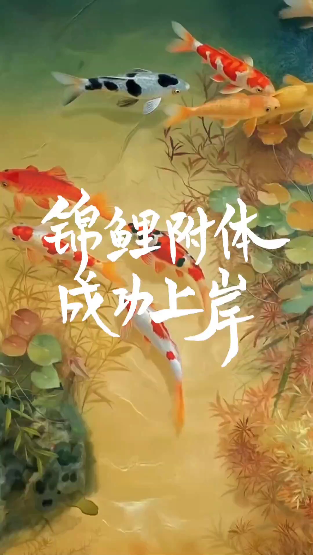 高考学子 锦鲤附体