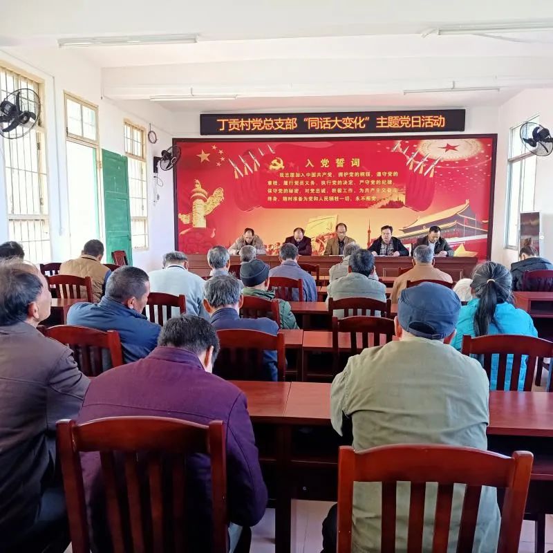 大乐镇丁贡村:党建唱主角,引领大变化