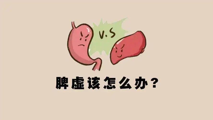 脾氣虛怎麼辦?