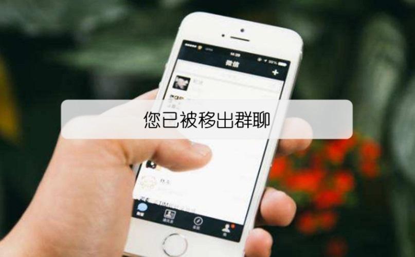 标题领导踢我出群我删文件单位被查后他疯狂打电话