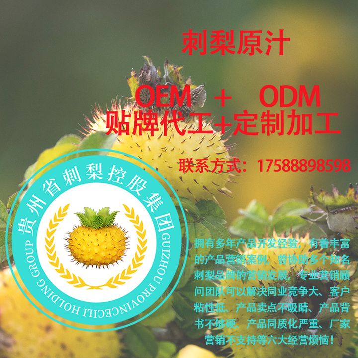 刺梨汁原液是智商稅嗎?(刺梨解酒嗎)刺梨口服液oem代加工貼牌定製