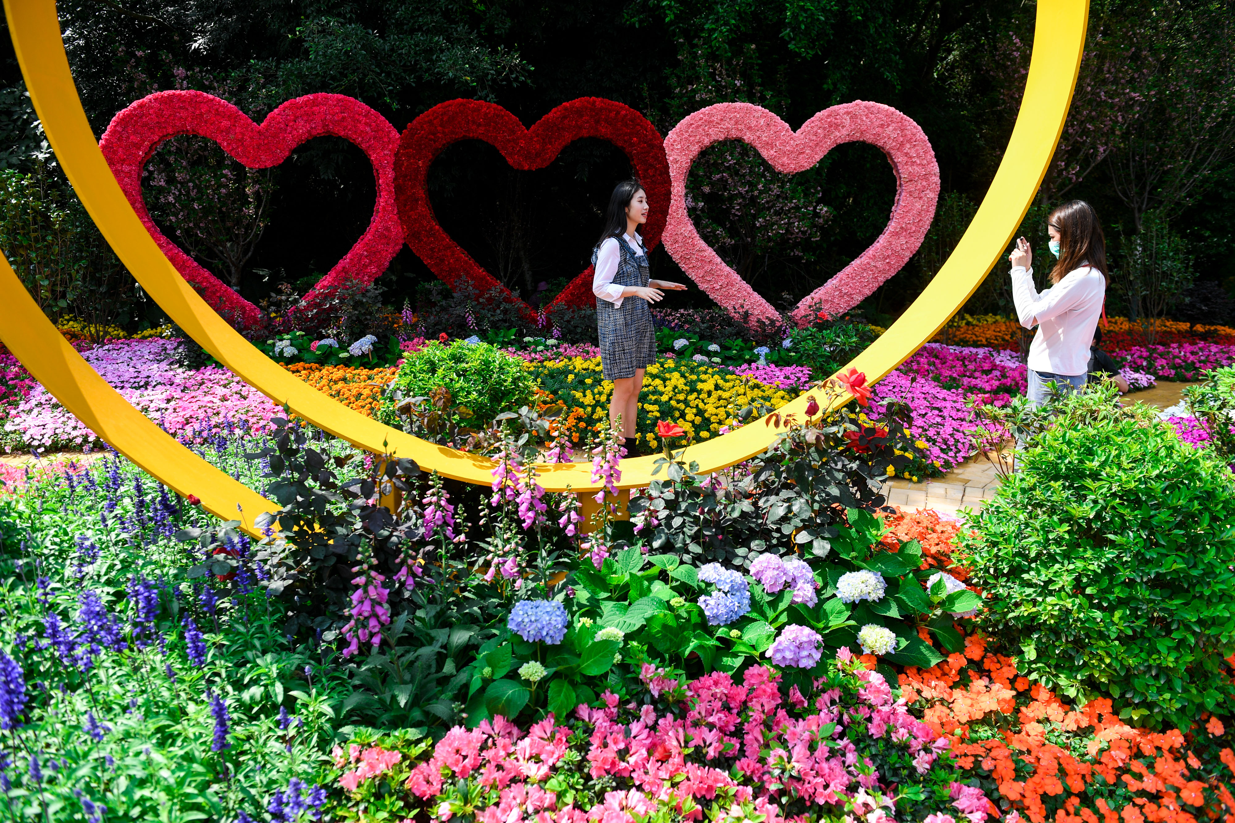 2021粤港澳大湾区深圳花展即将开幕(3)