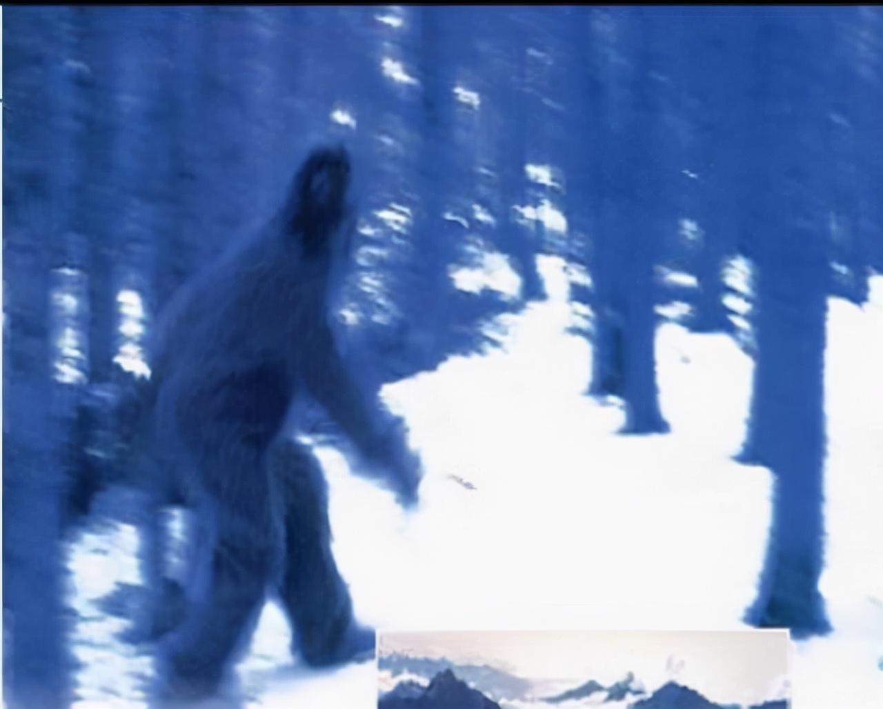 西藏老兵目击野人袭击牲畜,场面非常血腥,野人尸体卖出千万高价