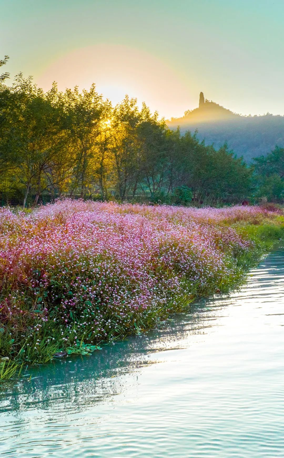 仙都初冬美景:仙界的又一场盛会