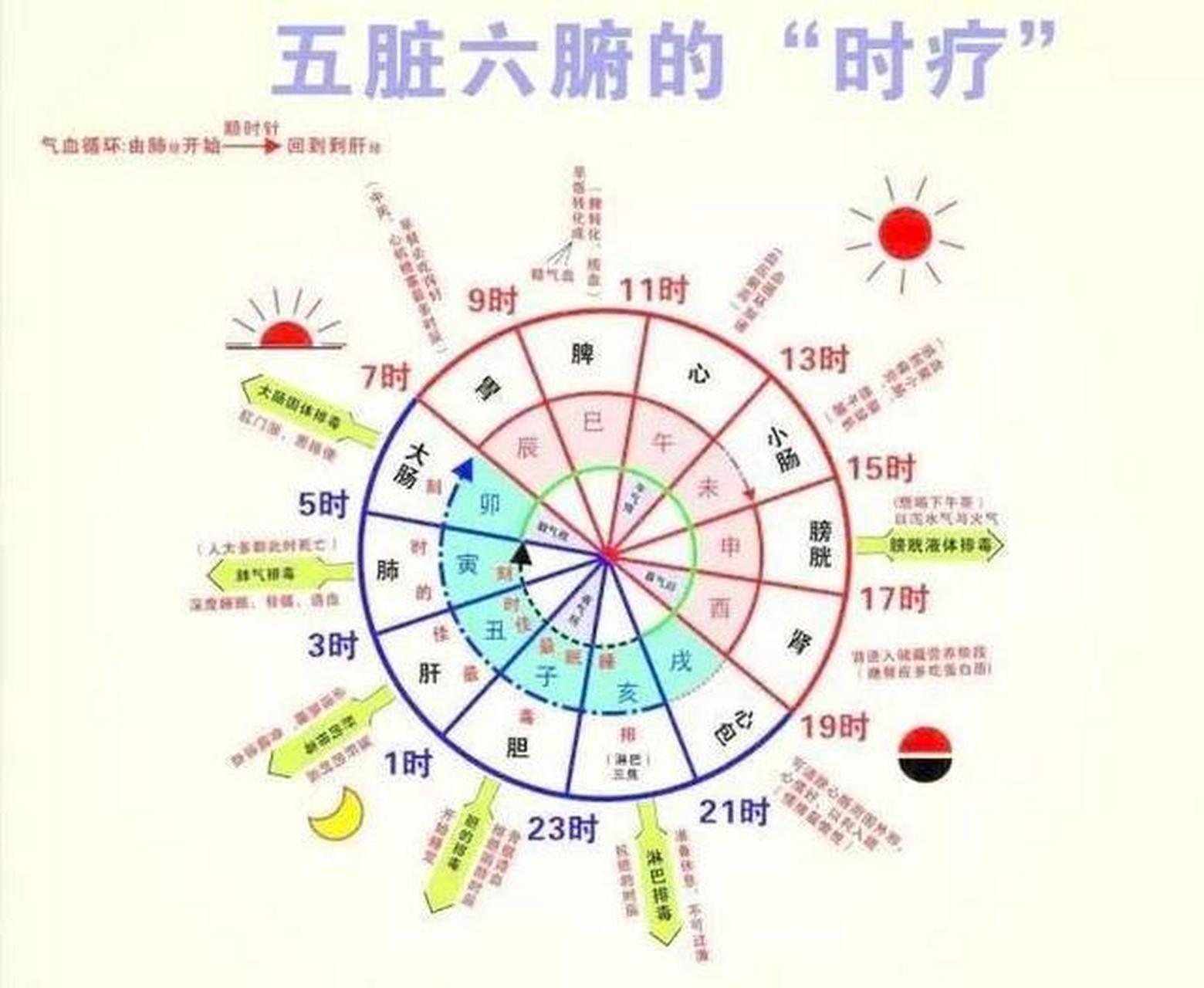 番茄健康 #中医养生#五脏六腑养生时间表,顺应天地,精气神足,分享给