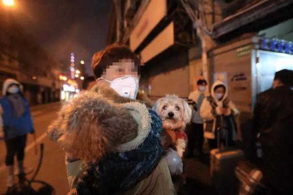昭通路居民区的居民 他们带着狗狗回家啦