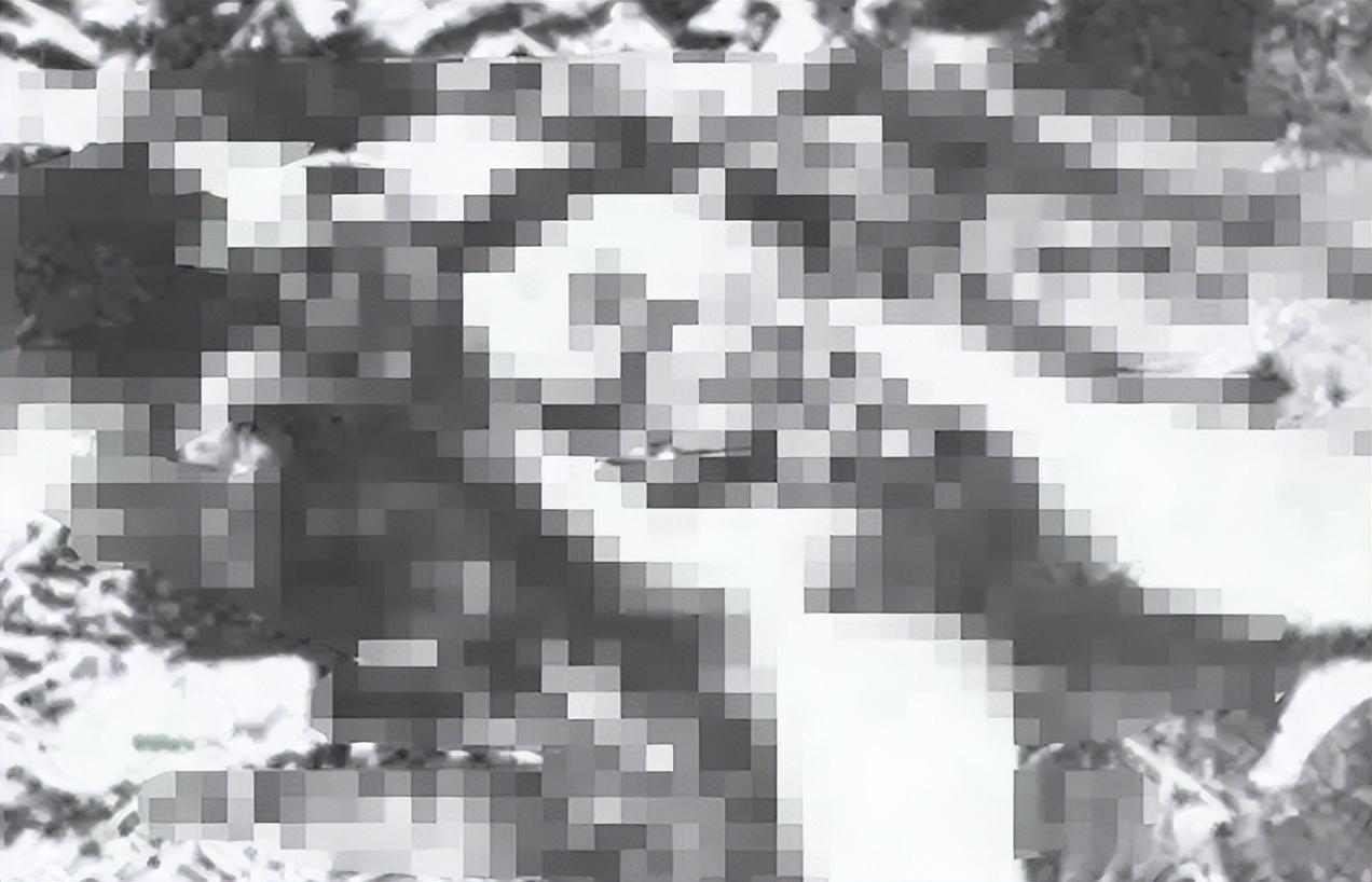 纪实:甘肃"掏肠恶魔"乔健国,钟爱掏女性肠子,手段残忍令人发指