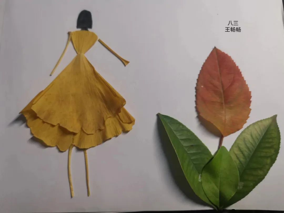 秋色美入"画",叶落又相逢|汤阴一中初中部树叶创意手工坊