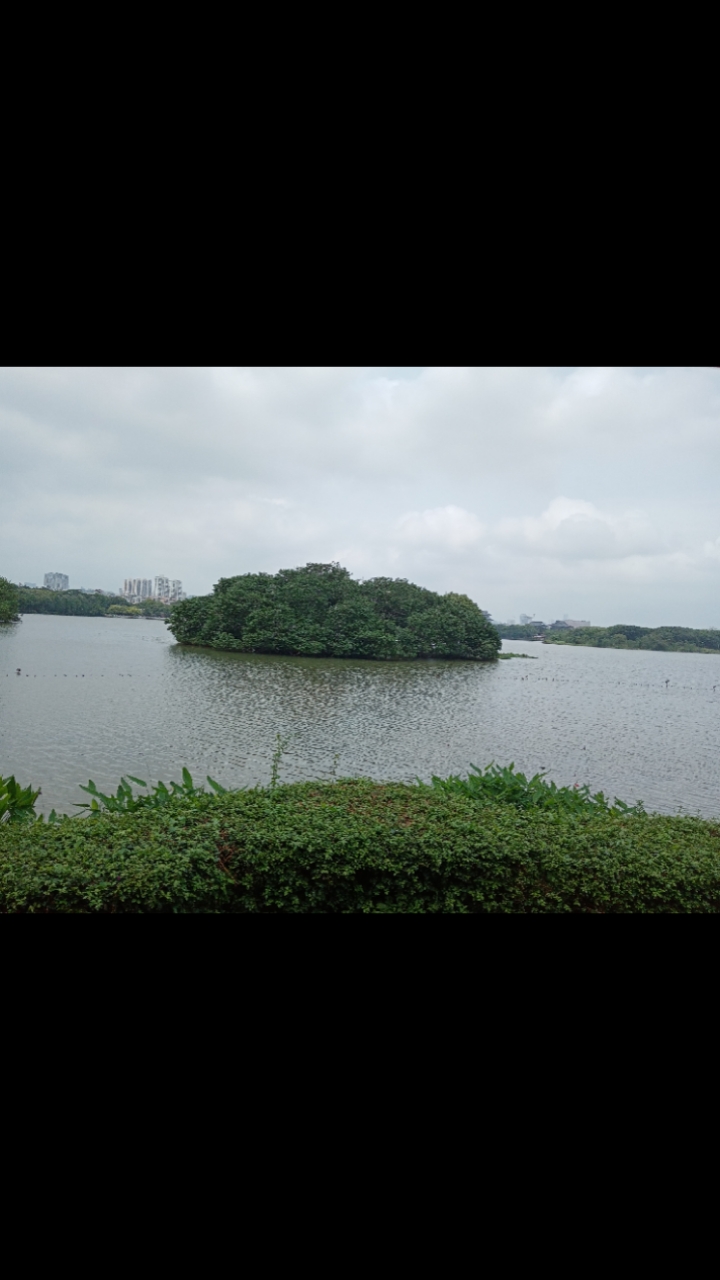 海珠湖公园湖心岛值得一观