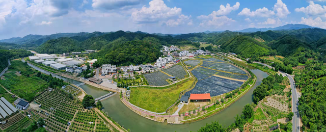 广东英德:坚持产业带动 加快富民兴村