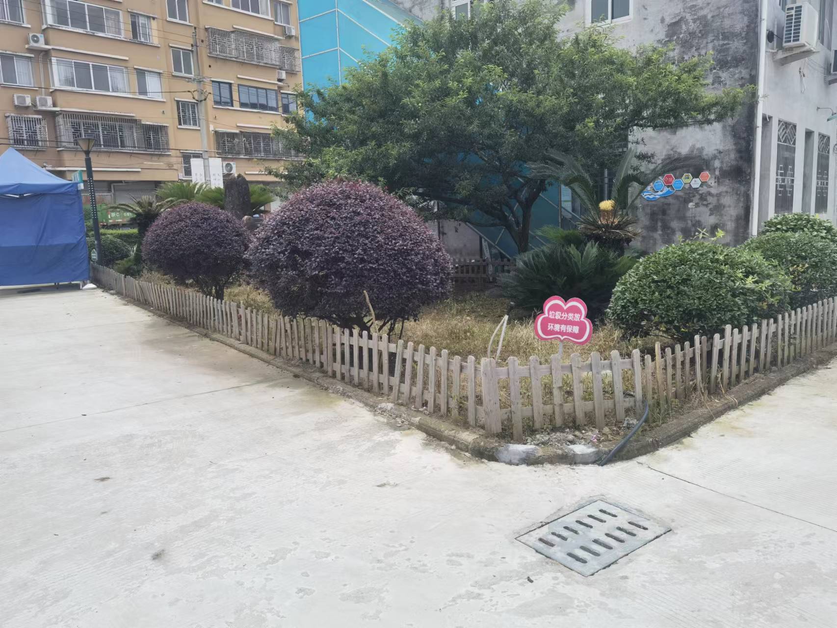 微改造精提升 瑞安市仙降街道以"微改精提"赋能人居环境蝶变