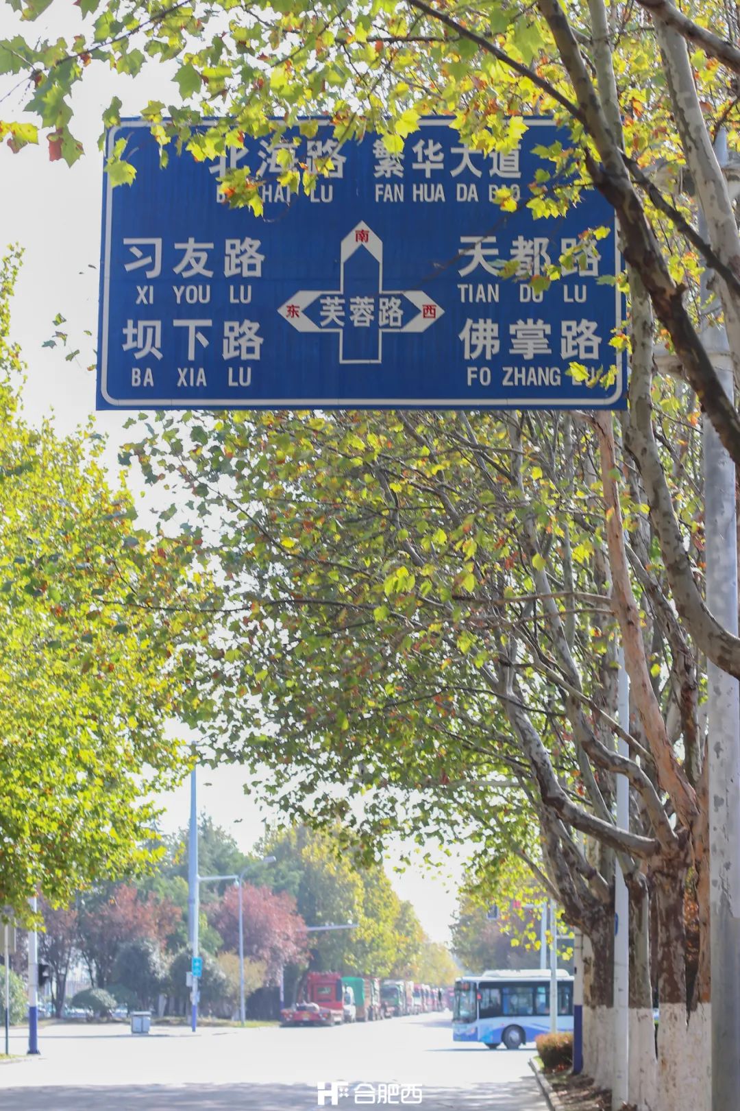 80路,合肥最挤的公交车