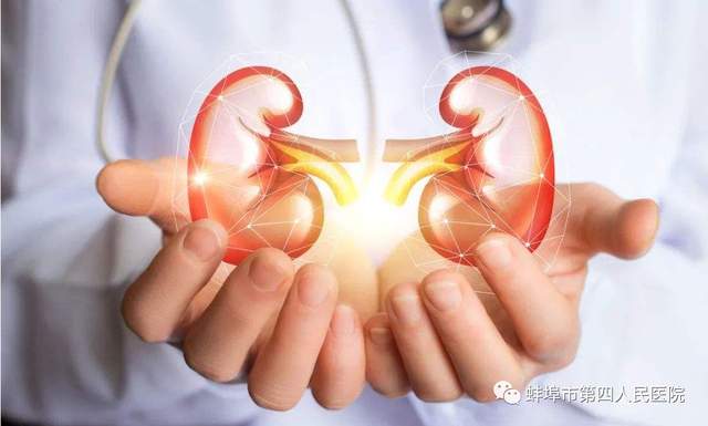 人人关注肾健康——吾爱吾肾,知识强肾