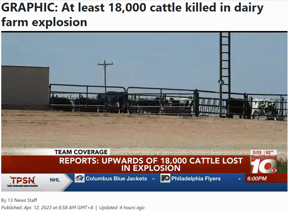 美国得州农场大爆炸，超18000奶牛死亡，什么原因造成的？-有驾