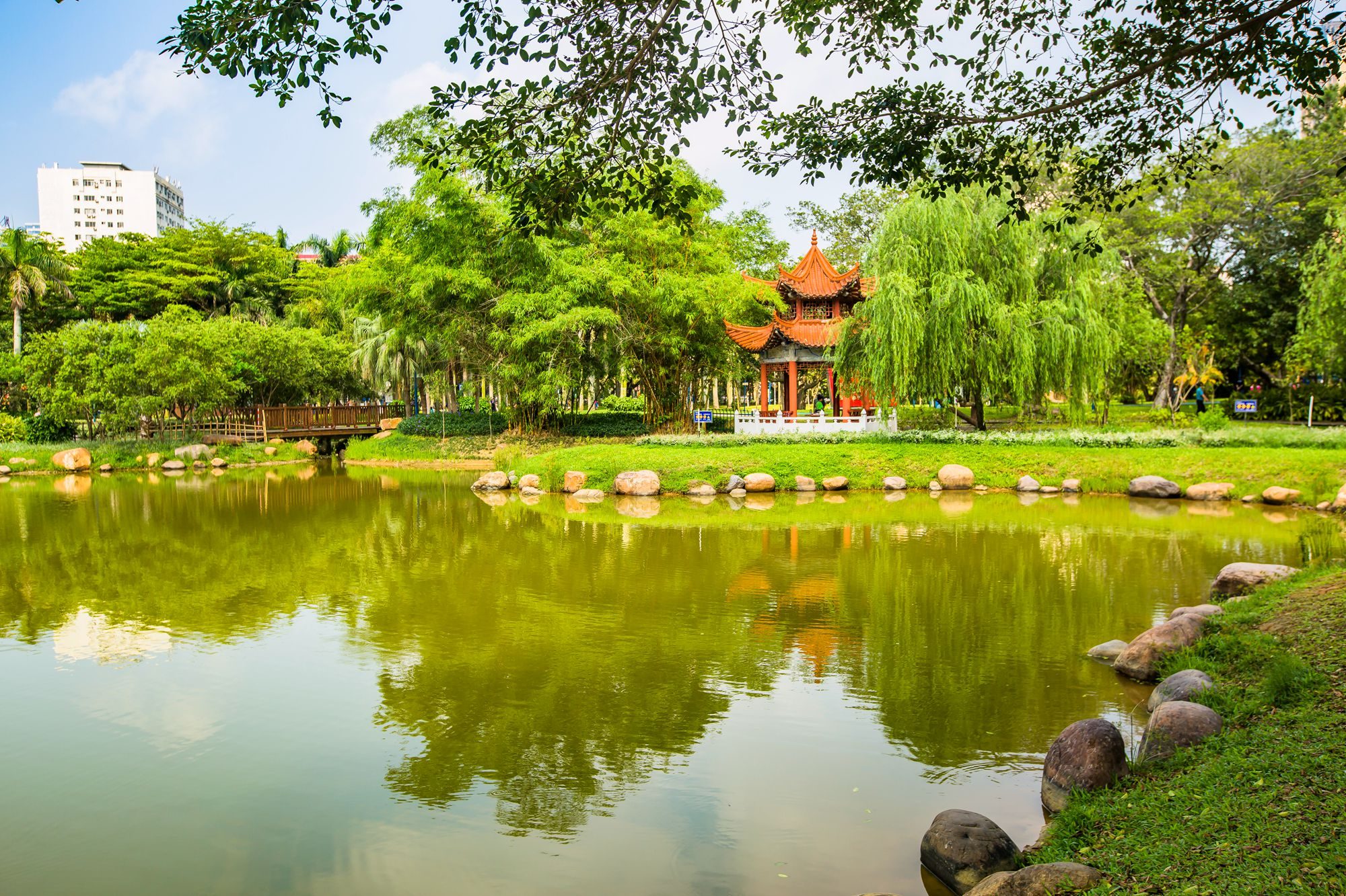 上海长青公园图片