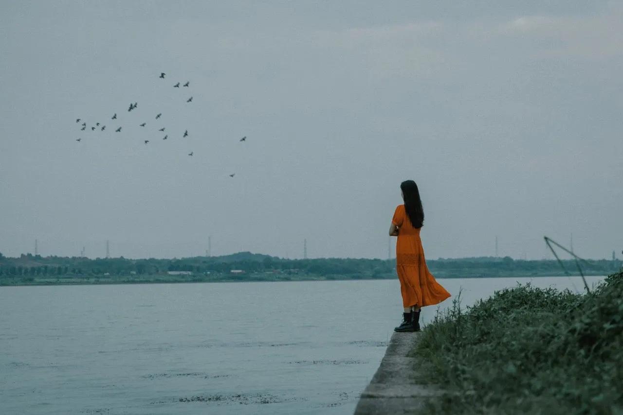 两情若是久长时,又岂在朝朝暮暮