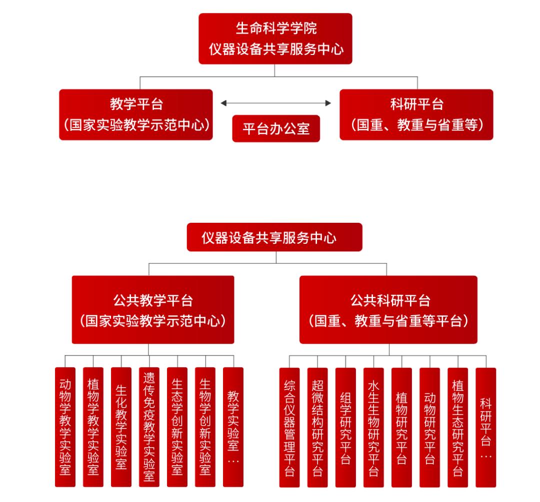 中山大学生命科学院图片