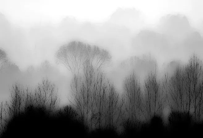 宋长征:陶渊明的逃脱术