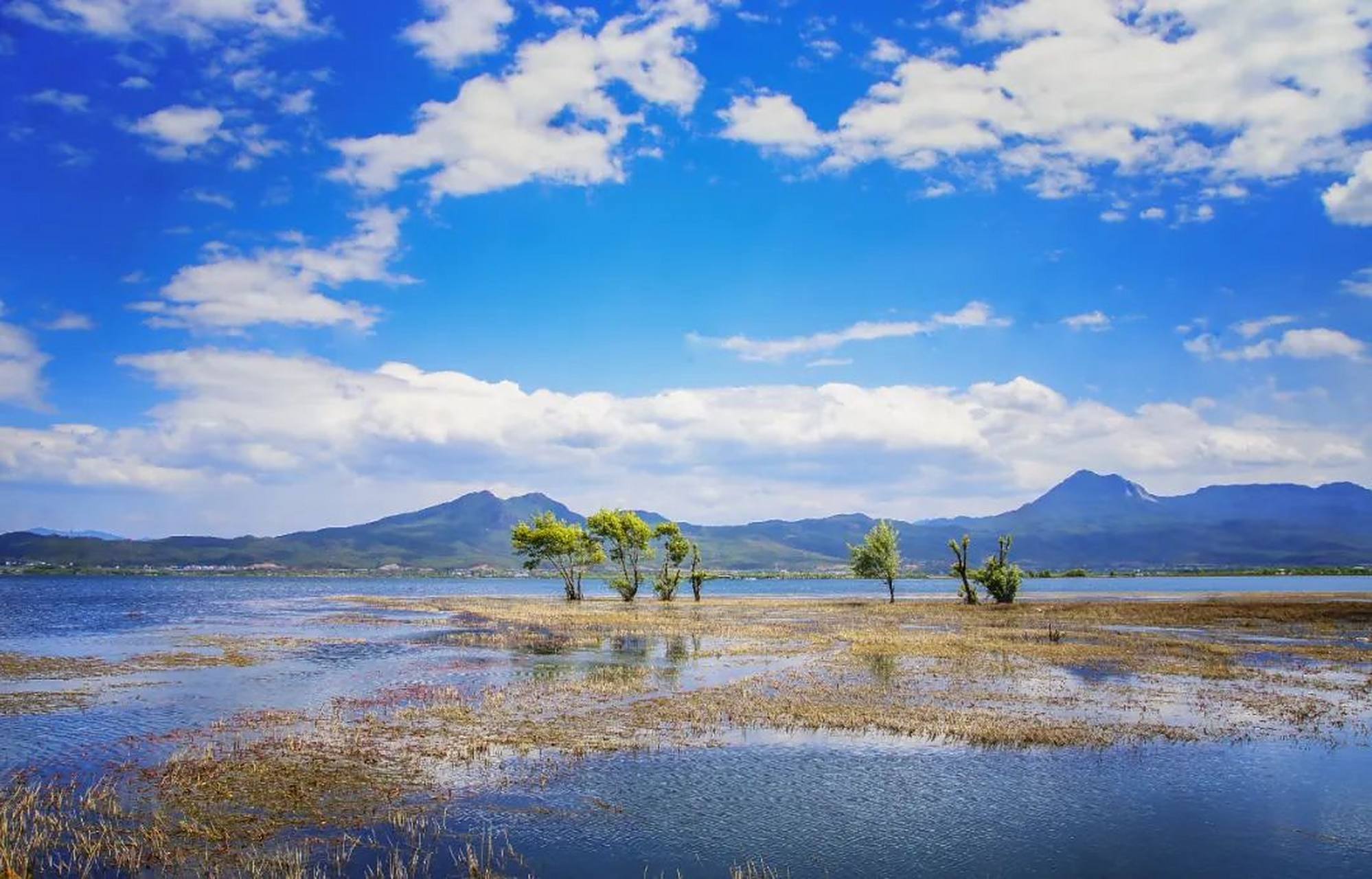 湿地公园,位于丽江市玉龙纳西族自治县海东镇,是丽江境内最大的高原