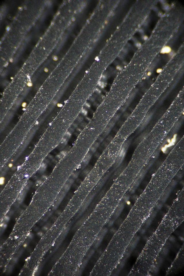 显微镜 - 热门商品专区