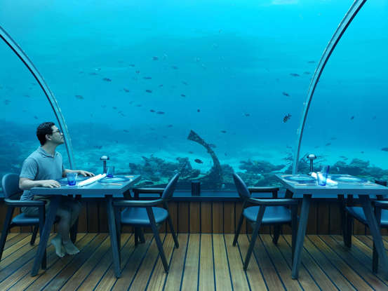 在世界上最大的全玻璃水下餐厅用餐是什么感觉?