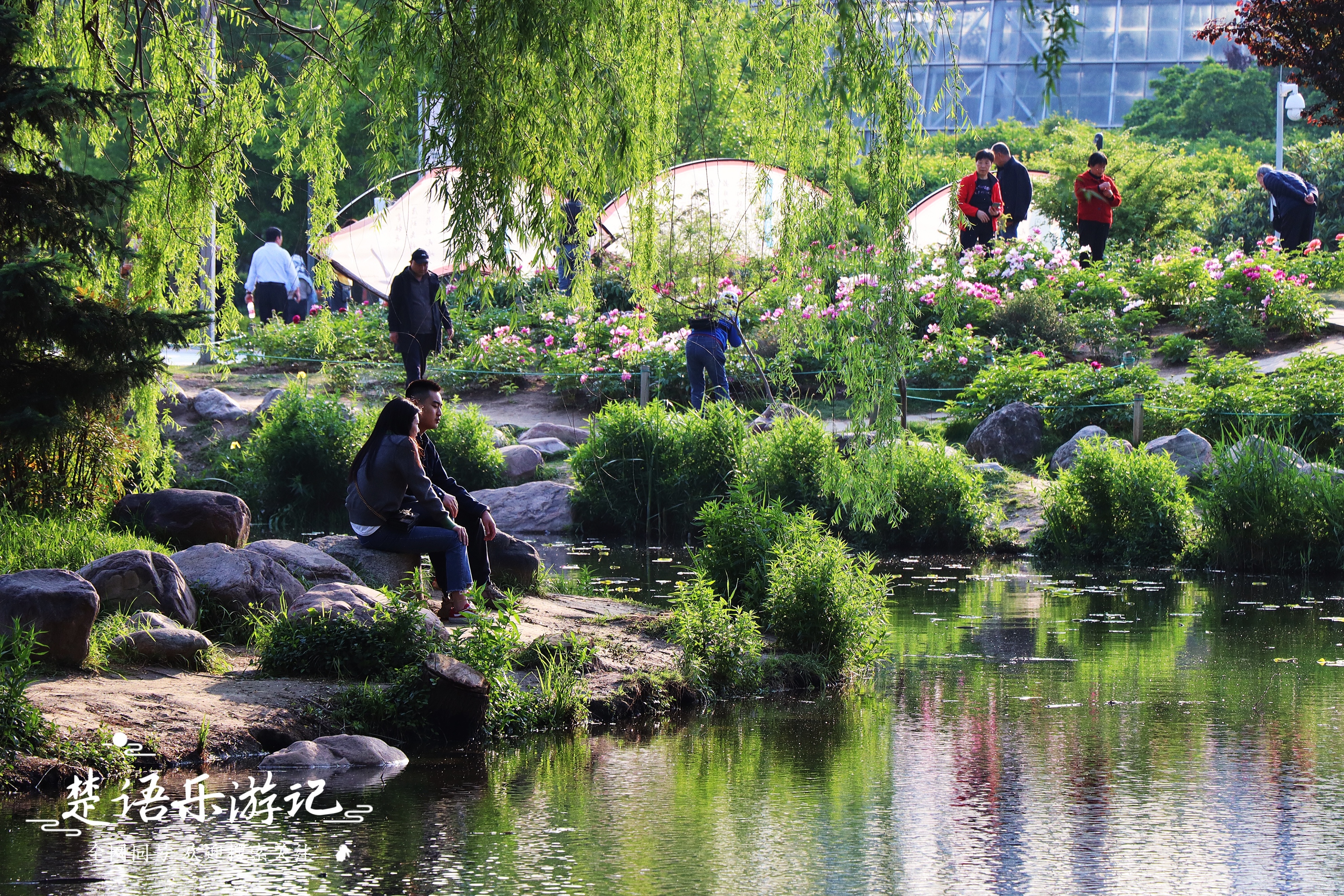 河南郑州十大最美公园之一,被誉为中原地区的热带雨林,真相如何