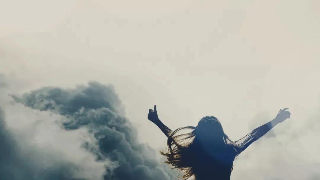 陶软顾之洲(完整版全集大结局)陶软顾之洲全文阅读笔趣阁