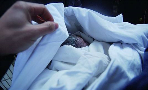 河南女子与男友同居4天突然临盆产子,男子姐姐:我们不接这个盘