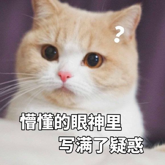 养"公猫"和养"母猫",有这几个区别,真的太真实了!
