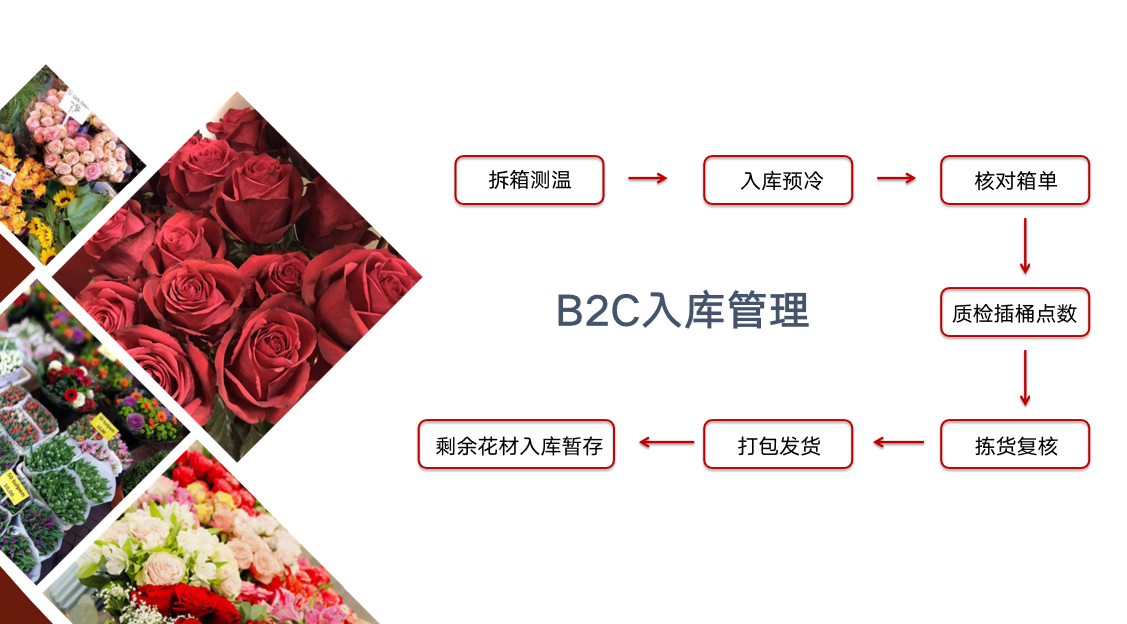 花卉交易平台:绽放于网络之上的生意风景