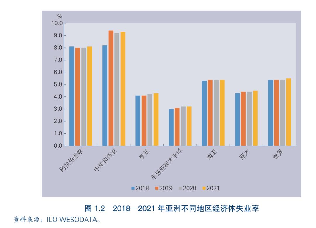 报告