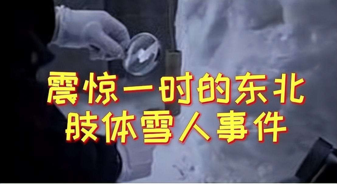 肢体雪人第一案图片