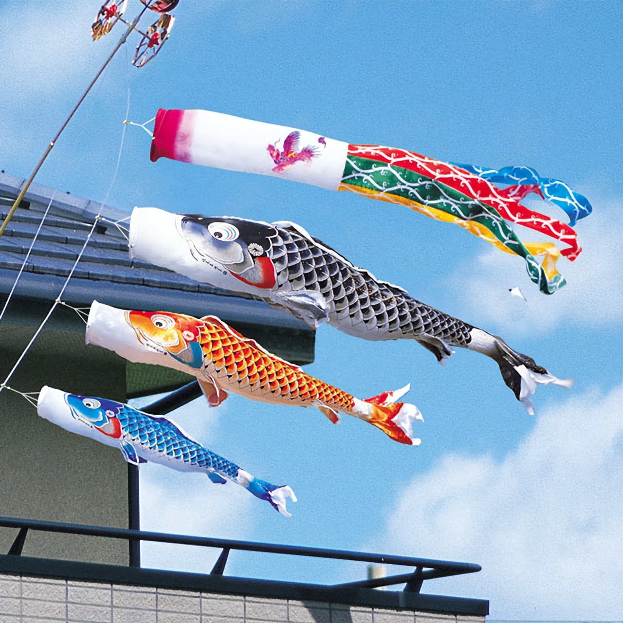 日本儿童节装饰的鲤鱼旗的由来!鲤鱼旗的装饰方法