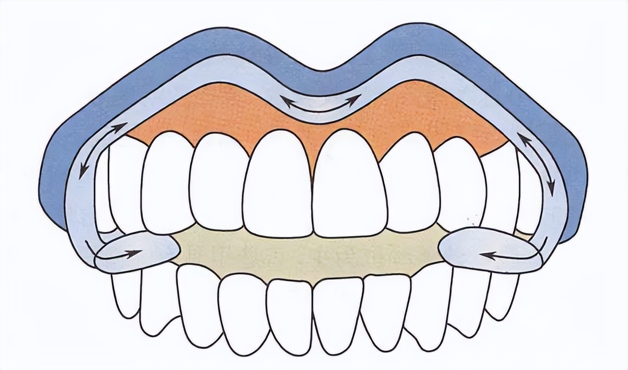 下颌第三磨牙直立是一个频繁和复杂的过程,直立过程中会存在问题