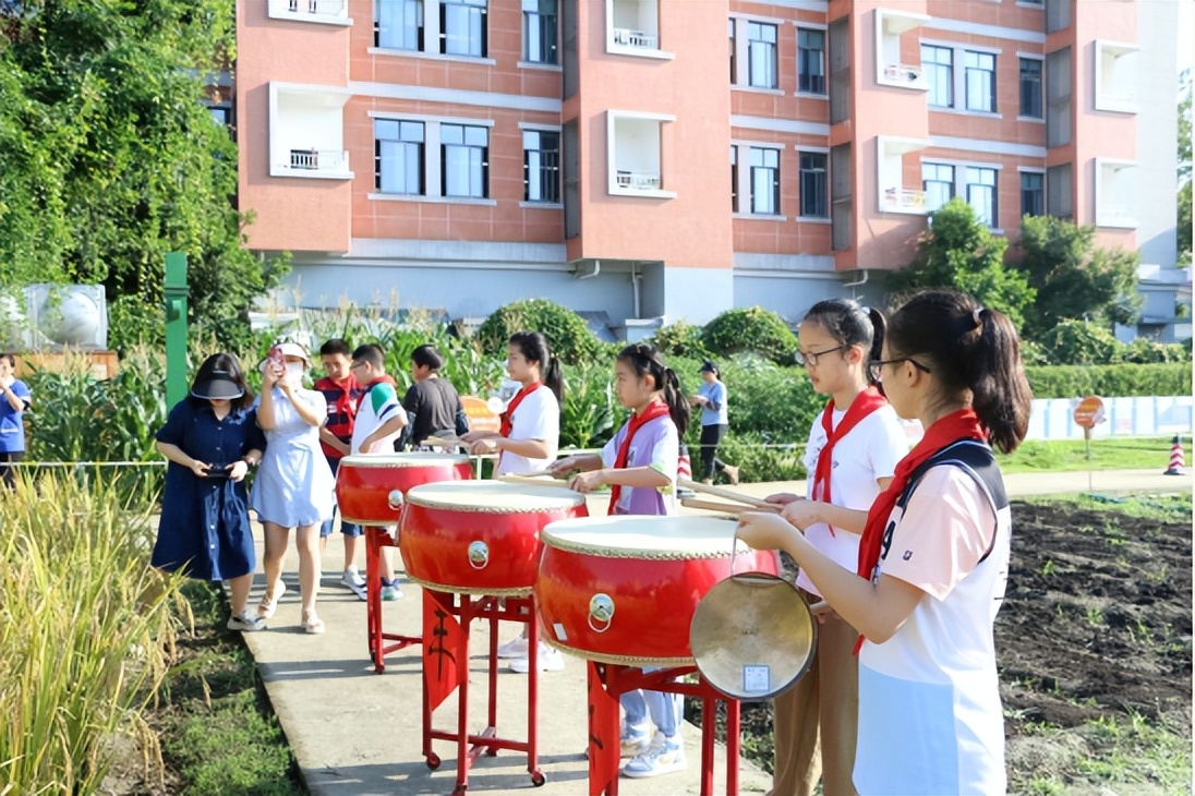 稻谷飘香收割忙,成都磨子桥小学分校喜迎丰收邻里乐