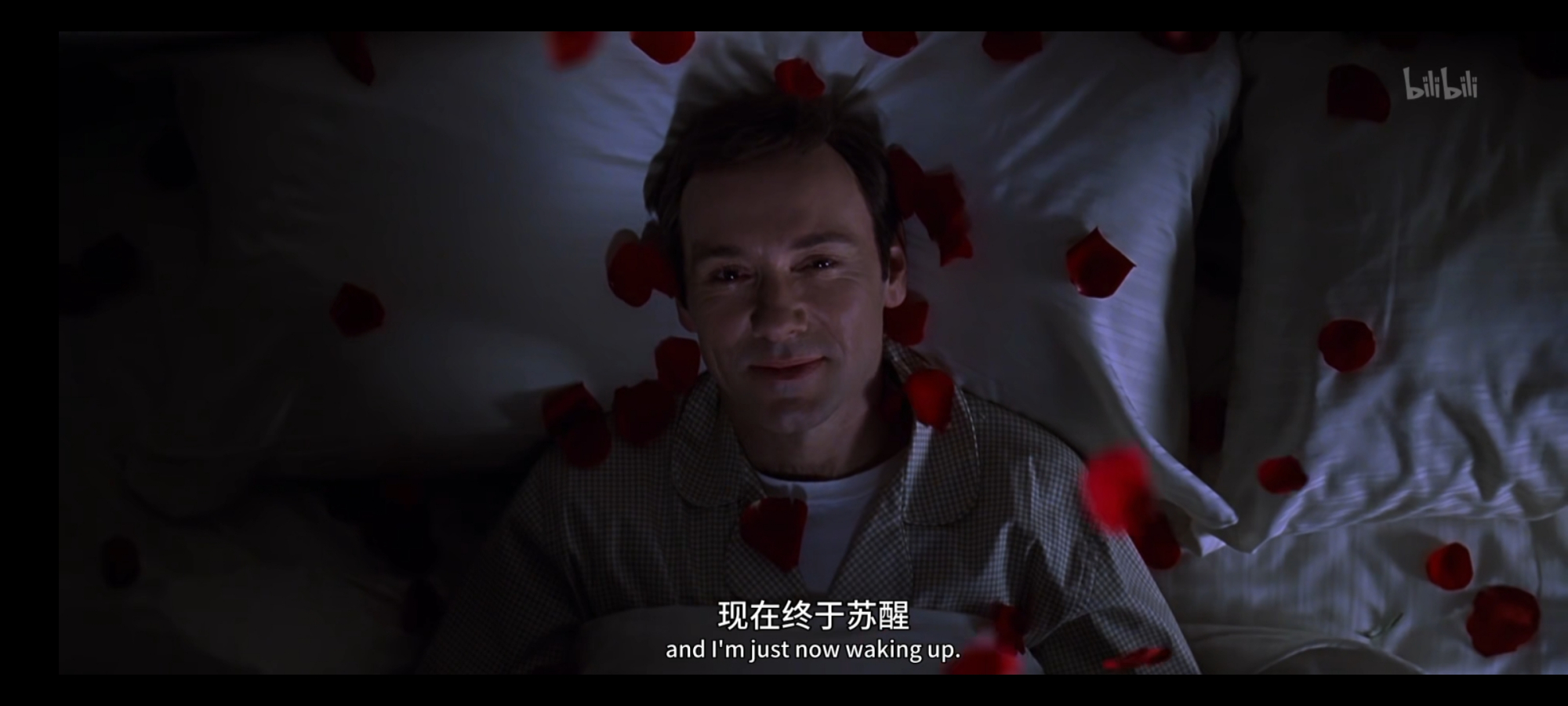 《美国丽人》影评——集合的偶然性 荒诞的必然性