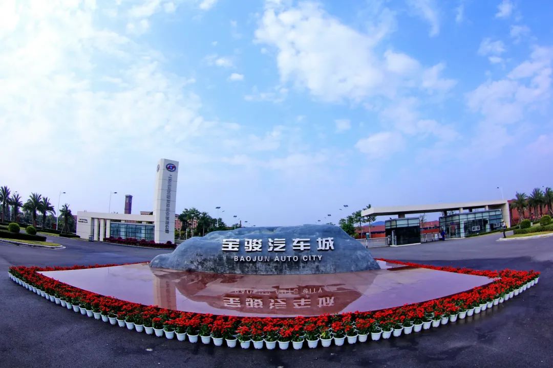 广西柳州甘蔗收购价格 - 2020年最新商品信息聚合专区 - 百度爱采购