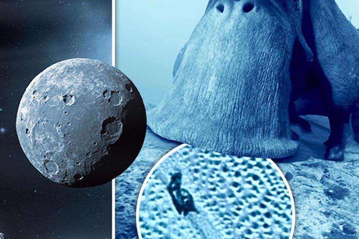 冥王星发现"外星动物",美国卫星放大后,令人匪夷所思!